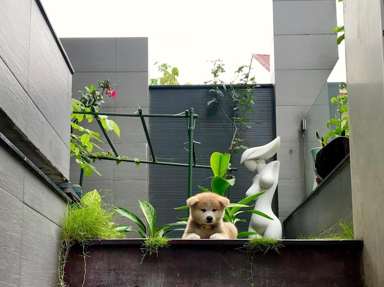 กรีนวูด วิลลา ไซ่ง่อน Villa โฮจิมินห์ซิตี้ ภายนอก รูปภาพ